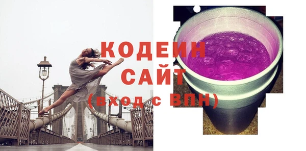 прущие грибы Богданович