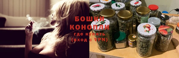 сатива Богородицк