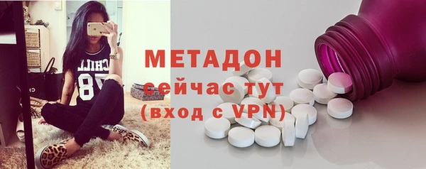 прущие грибы Богданович