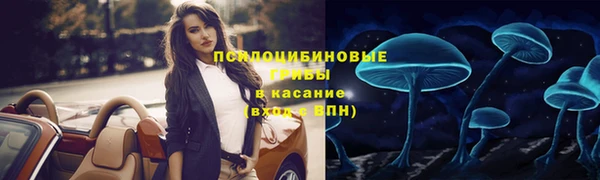 сатива Богородицк