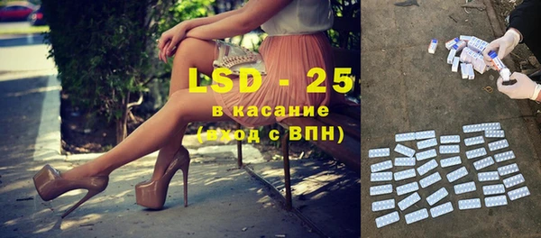 прущие грибы Богданович