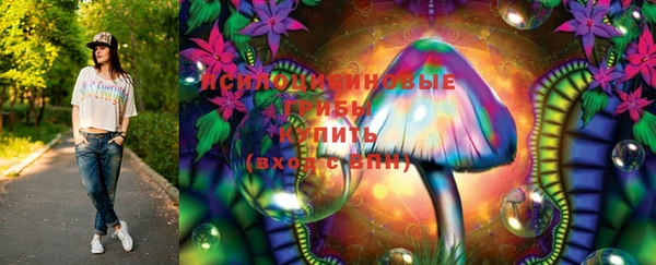 прущие грибы Богданович