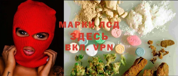 сатива Богородицк
