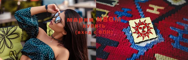 прущие грибы Богданович