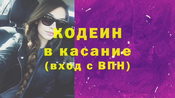 прущие грибы Богданович