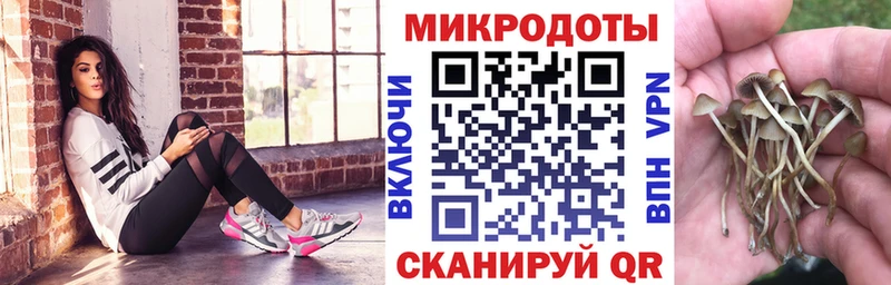 где продают   Волжск  Псилоцибиновые грибы ЛСД 