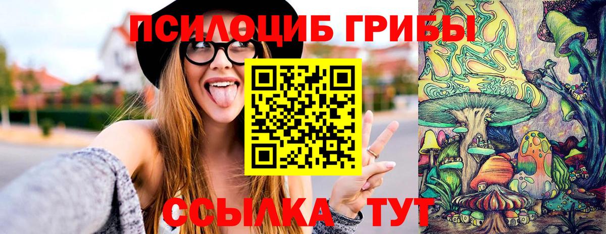 Псилоцибиновые грибы Psilocybine cubensis  Вход с VPN  Волжск 